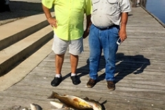 7_aspeckcharters-1366