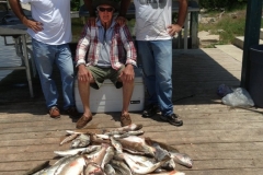 e_aspeckcharters-613a