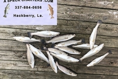 e_feb-2019-53e38b918c91